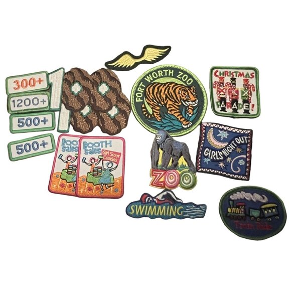 Brownies Girl Scouts Other - Brownies Girl Scouts Fly Up Wings Christmas Booth 100Cookies Levels Mixed Lot of